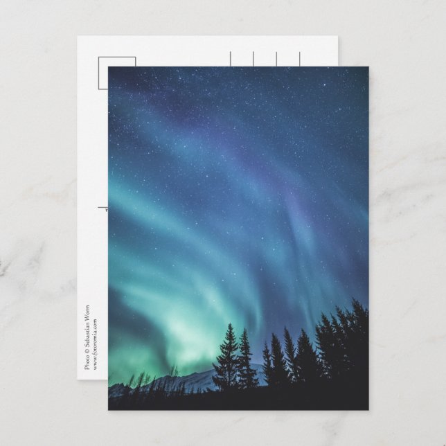 Northern Lights Forest Postcard (Front/Back)
