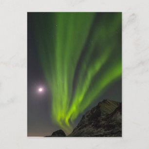 Northern LightS   Haukland Beach Island Norway Postcard