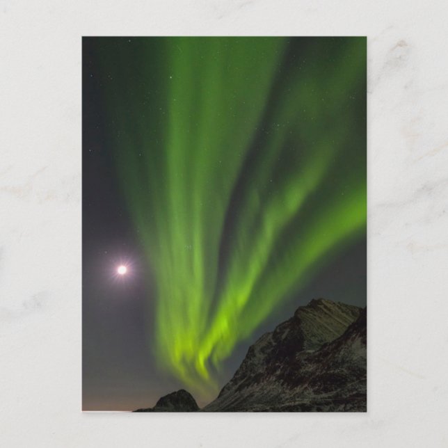 Northern LightS | Haukland Beach Island Norway Postcard (Front)