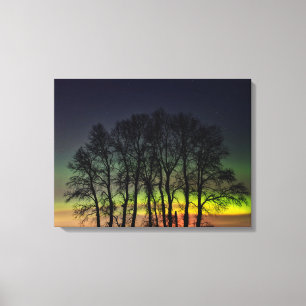 Northern Lights   Manitoba Canada Grande Pointe Canvas Print