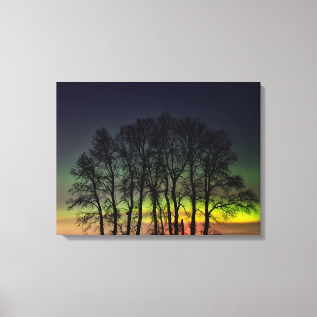 Northern Lights | Manitoba Canada Grande Pointe Canvas Print (Front)