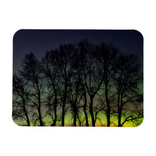 Northern Lights   Manitoba Canada Grande Pointe Magnet