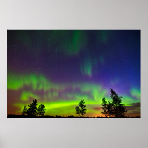 Northern Lights   Manitoba Canada Poster