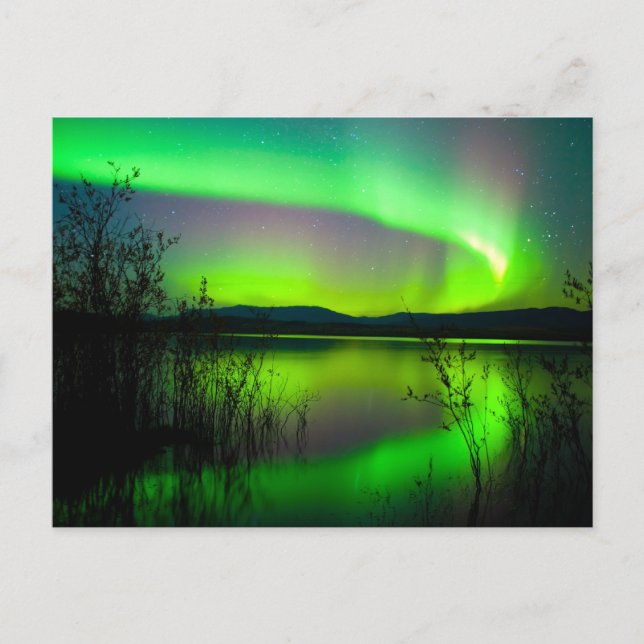 Northern lights mirrored on lake postcard (Front)
