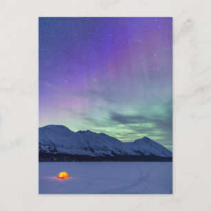 Northern Lights Moose Pass   Kenai Peninsula Postcard