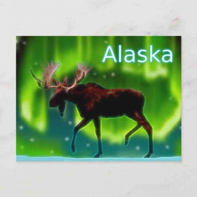 Northern Lights Moose Postcard (Front)