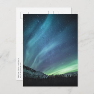 Northern Lights Nature Photo Postcard