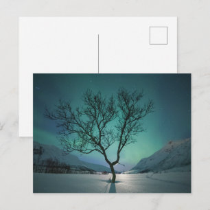 Northern Lights Nature Photo Postcard