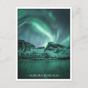 Northern Lights Nature Photo Postcard
