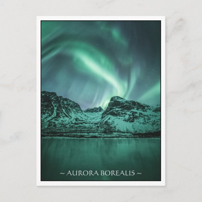 Northern Lights Nature Photo Postcard (Front)