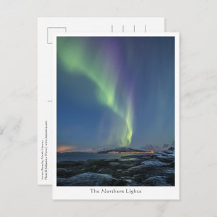 Northern Lights Nature Photo Postcard