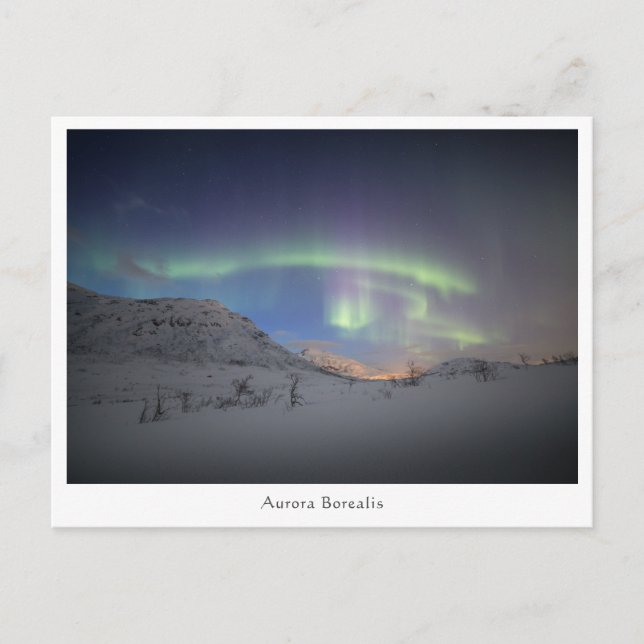 Northern Lights North Norway Postcard (Front)