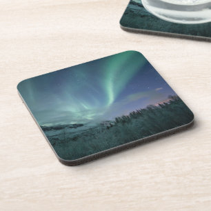 Northern Lights Norway Coaster