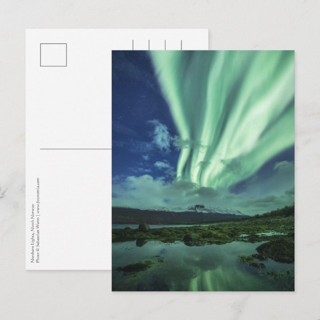 Northern Lights Norway Postcard (Front/Back)