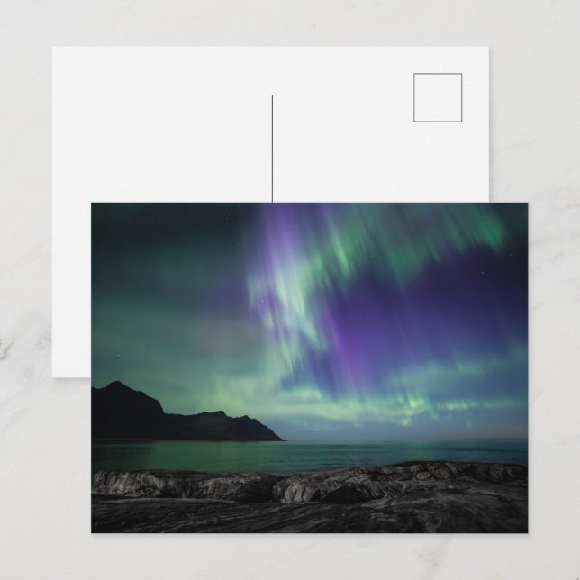 Northern Lights Norway Postcard (Front/Back)