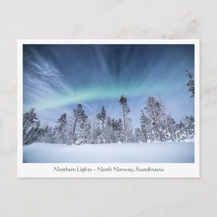 Northern Lights Norway Postcard