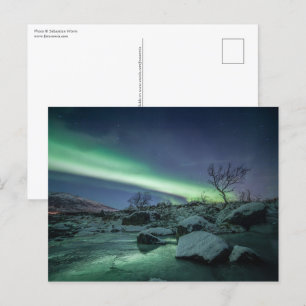 Northern Lights Norway Postcard