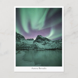 Northern Lights Norway Postcard