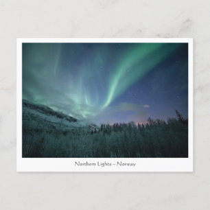Northern Lights Norway Postcard