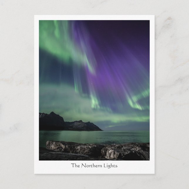 Northern Lights Norway Postcard (Front)