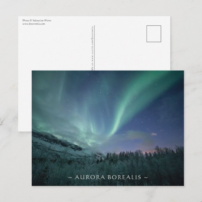 Northern Lights Norway Postcard (Front/Back)
