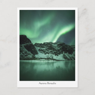 Northern Lights Norway Postcard