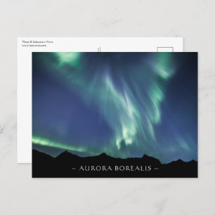 Northern Lights Norway Postcard