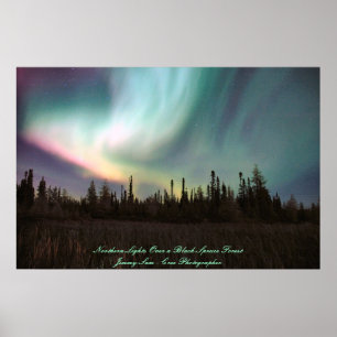 Northern Lights Over a Black Spruce Forest Poster