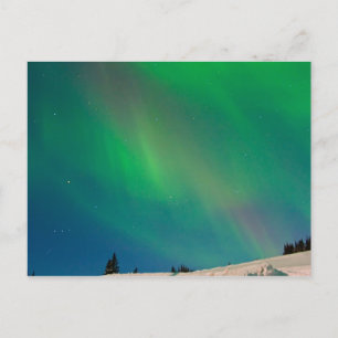 Northern LIghts Over Alaska Postcard