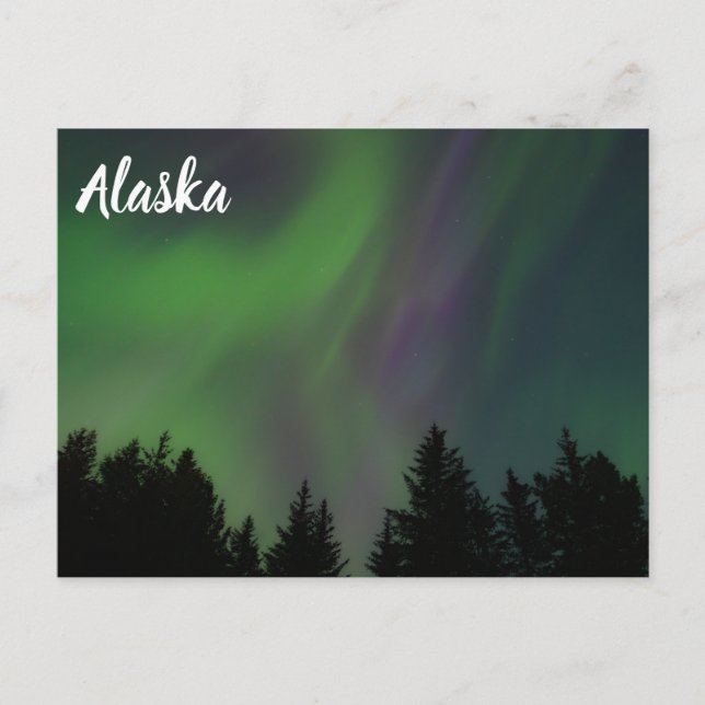 Northern Lights over Alaska Postcard (Front)
