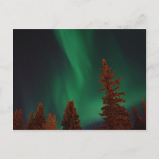 Northern Lights over Ft. Wainwright, AK Postcard
