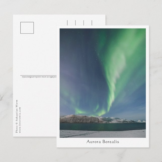 Northern Lights Postcard (Front/Back)