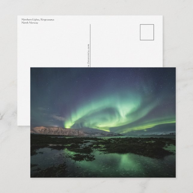Northern Lights Postcard (Front/Back)
