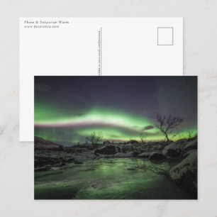 Northern Lights Postcard