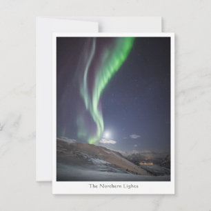 Northern Lights Postcard