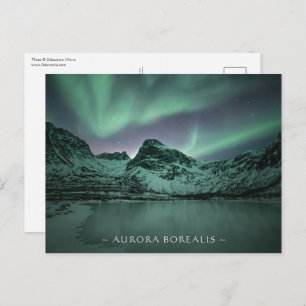 Northern Lights Postcard