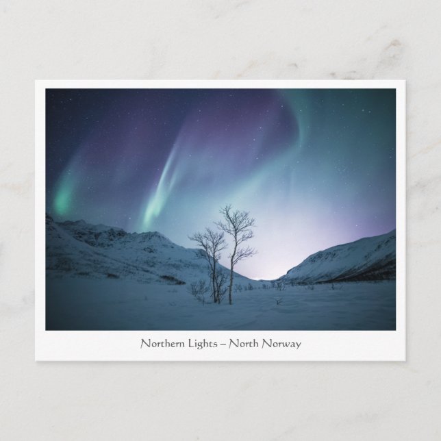 Northern Lights Postcard (Front)