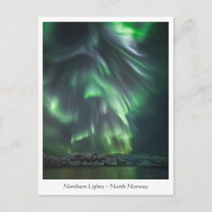Northern Lights Postcard