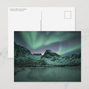 Northern Lights Postcard