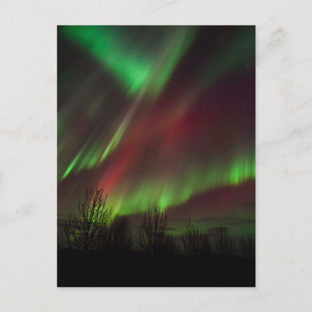 Northern Lights | Scandinavia, Iceland Postcard (Front)