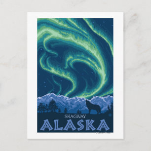 Northern Lights - Skagway, Alaska Postcard