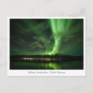 Northern Lights Skibotn Postcard