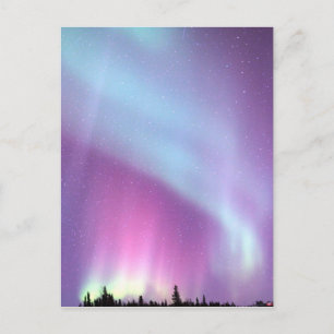 Northern Lights Sky Winter Alaska Stars Postcard