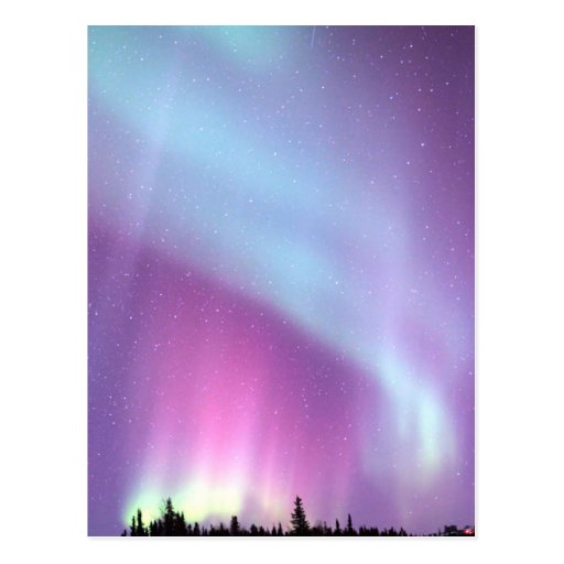 Image of Northern Lights Sky Winter Alaska Stars Postcard