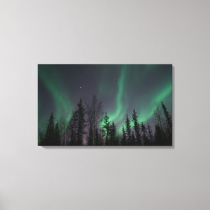 Northern Lights through the Trees Canvas