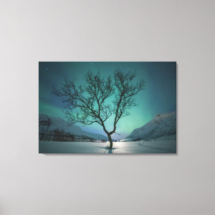Northern Lights Tree Canvas Print