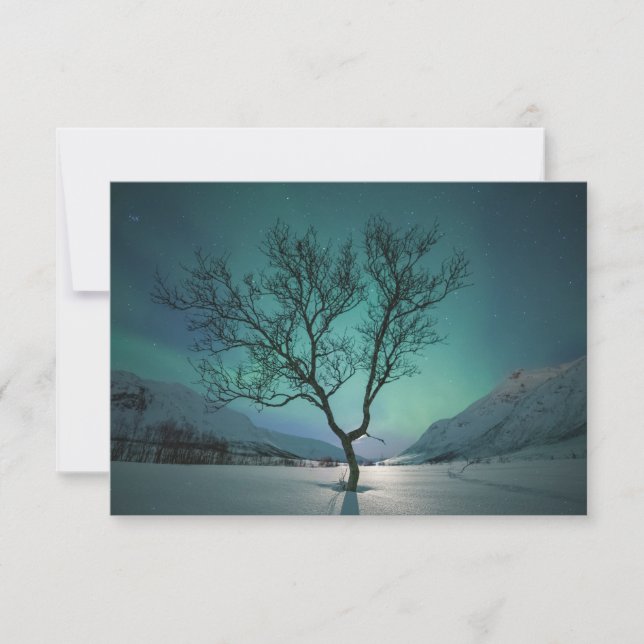 Northern Lights Tree Card (Front)