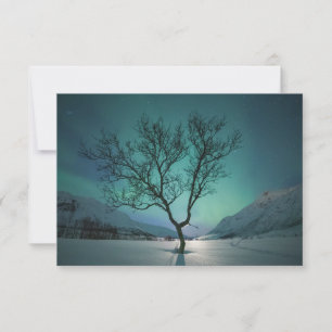 Northern Lights Tree Card