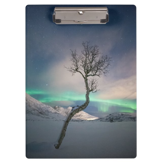 Northern Lights Tree Clipboard (Front)