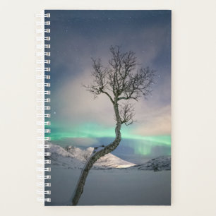 Northern Lights Tree Planner